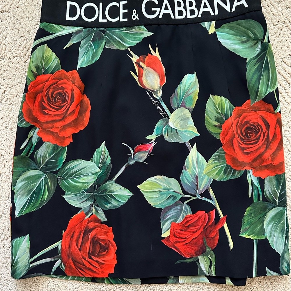 Dolce & Gabbana Black Rose-Printed Mini Skirt